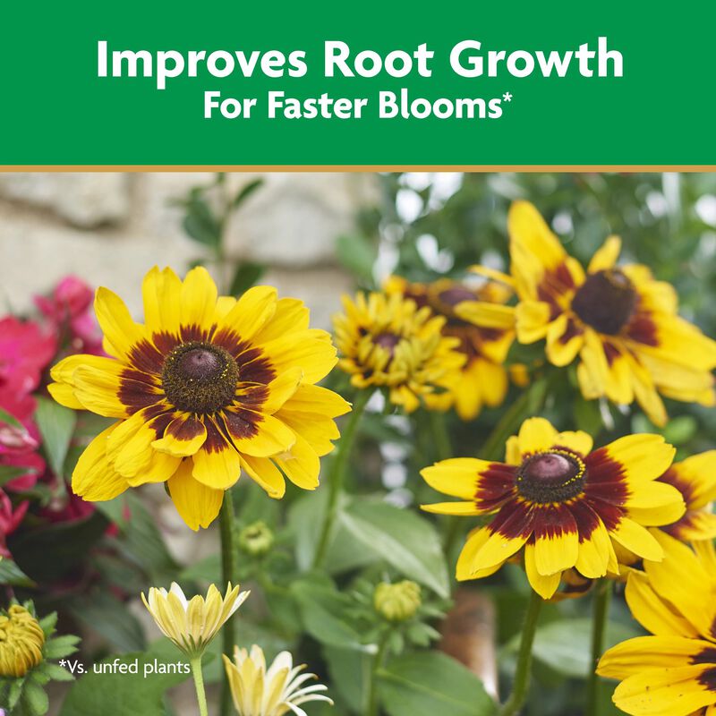 Miracle-Gro® Quick Start® Planting & Transplant Starting Solution image number null